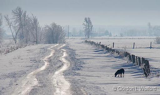 Road Less Traveled_52667.jpg - Photographed east of Ottawa, Ontario - the capital of Canada.